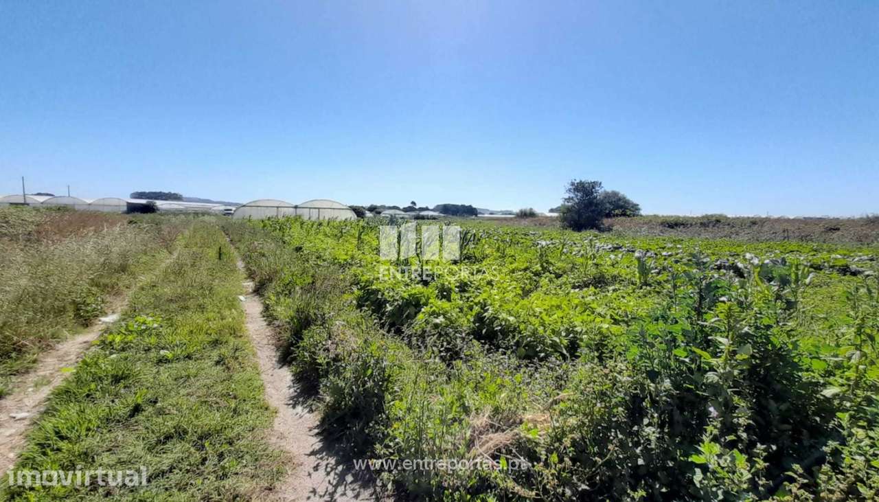 Venda de Terreno agrícola em Navais, Póvoa de Varzim - Grande imagem: 5/5