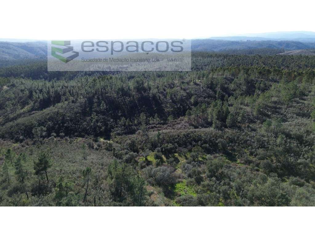 Terreno com 4,5 ha - Palvarinho - Grande imagem: 5/13