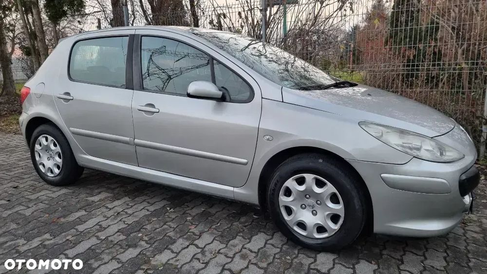 Peugeot 307 1.4 Presence - 16