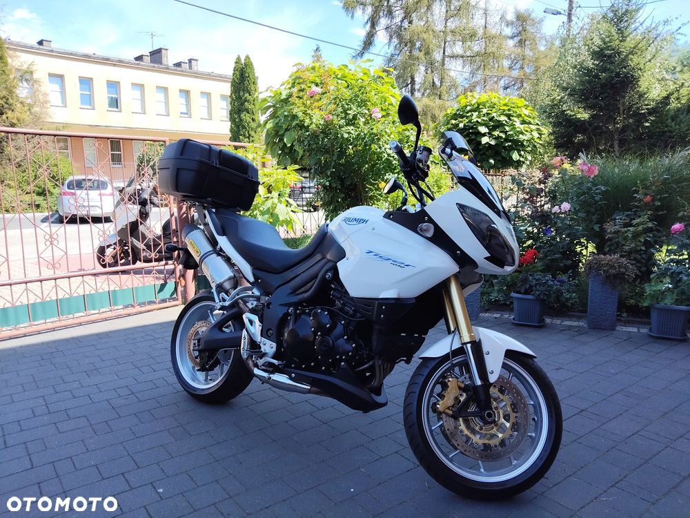 Triumph Tiger - 30