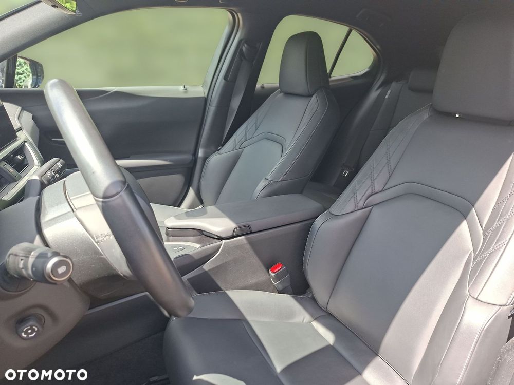 Lexus UX 250h GPF F Sport Design 2WD - 10