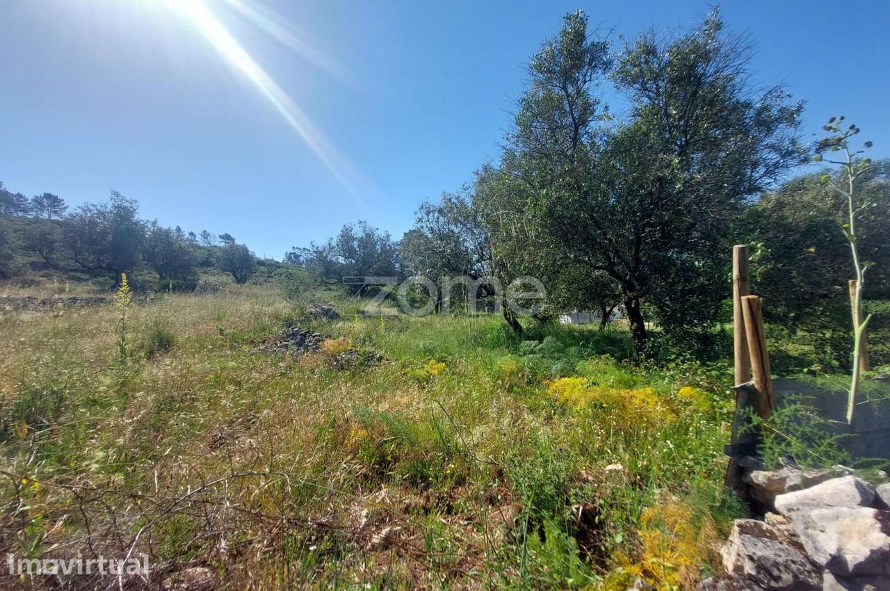 Terreno com 2500m2 a 10m de Fátima e 15 m da Batalha - Grande imagem: 2/18