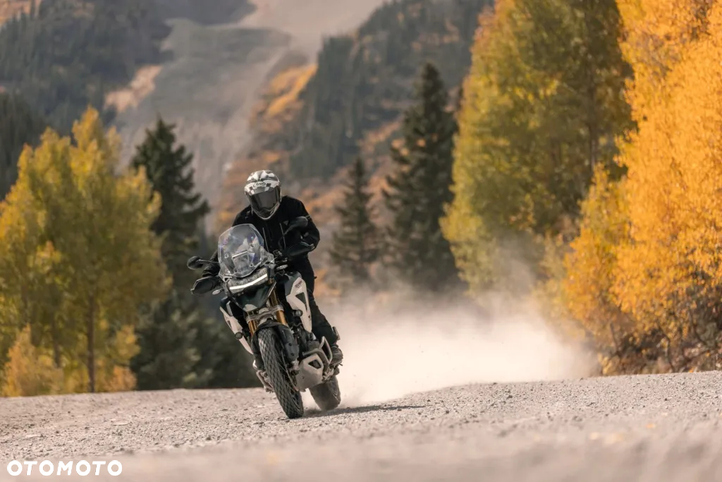 Triumph Tiger - 9
