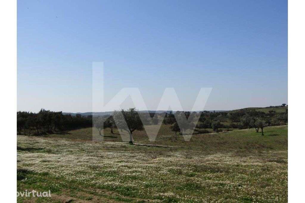 TERRENO AGRÍCOLA COM 3.325 HA  COMENDA, GAVIÃO - Grande imagem: 4/16