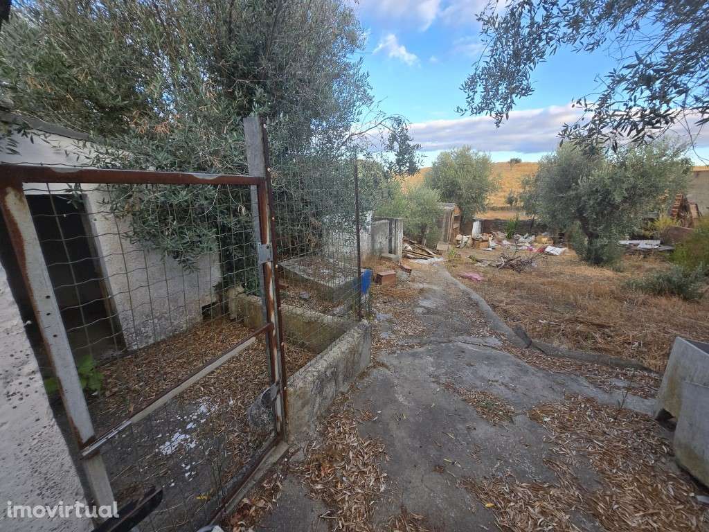 Duas Moradias com Quintal, perto da Praia Fluvial Azenhas d'El Rei - Grande imagem: 3/20