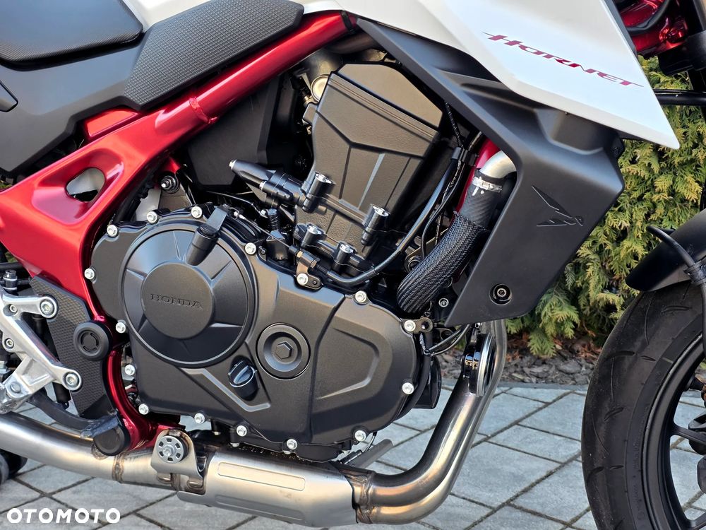 Honda Hornet - 8