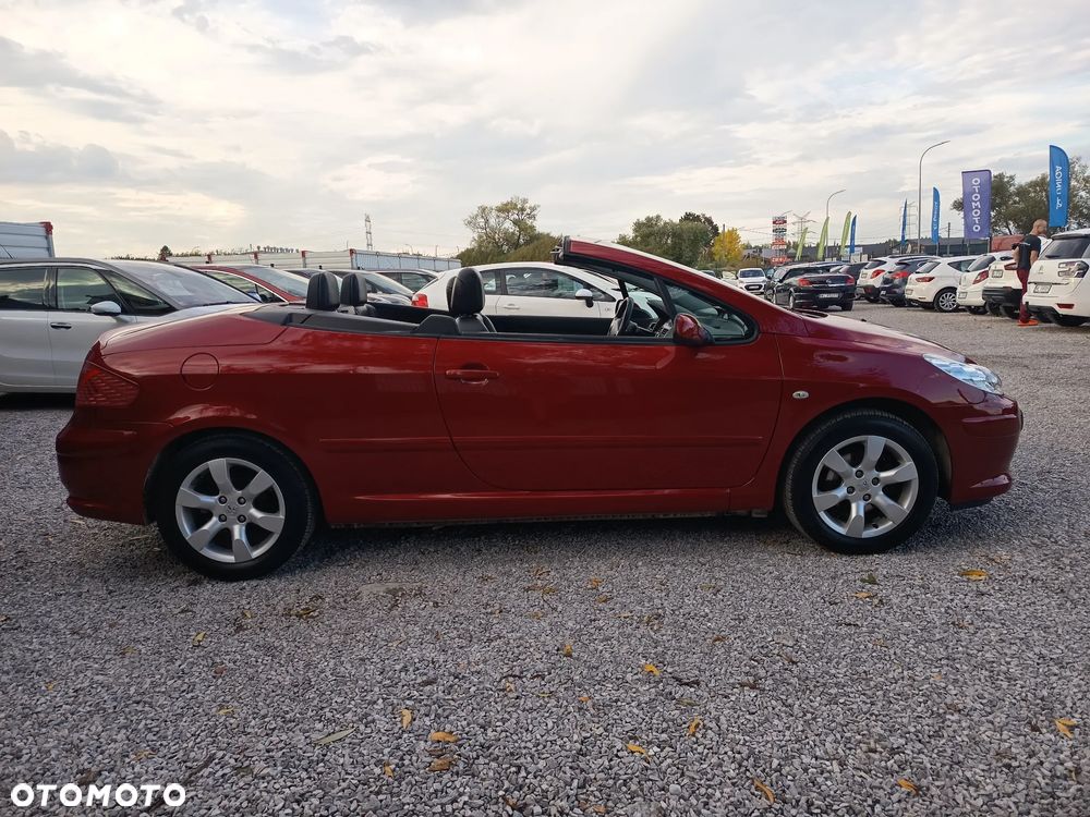 Peugeot 307 CC 110 Filou - 18