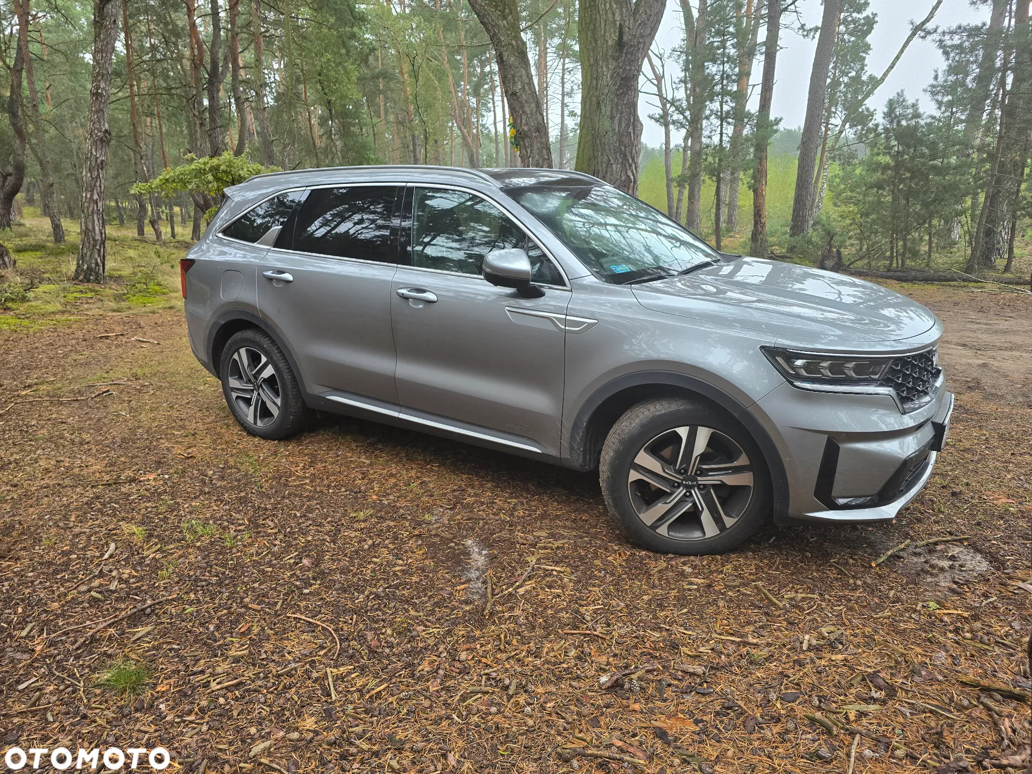 Kia Sorento 1.6 T-GDI PHEV Prestige Line 4WD 7os - 4