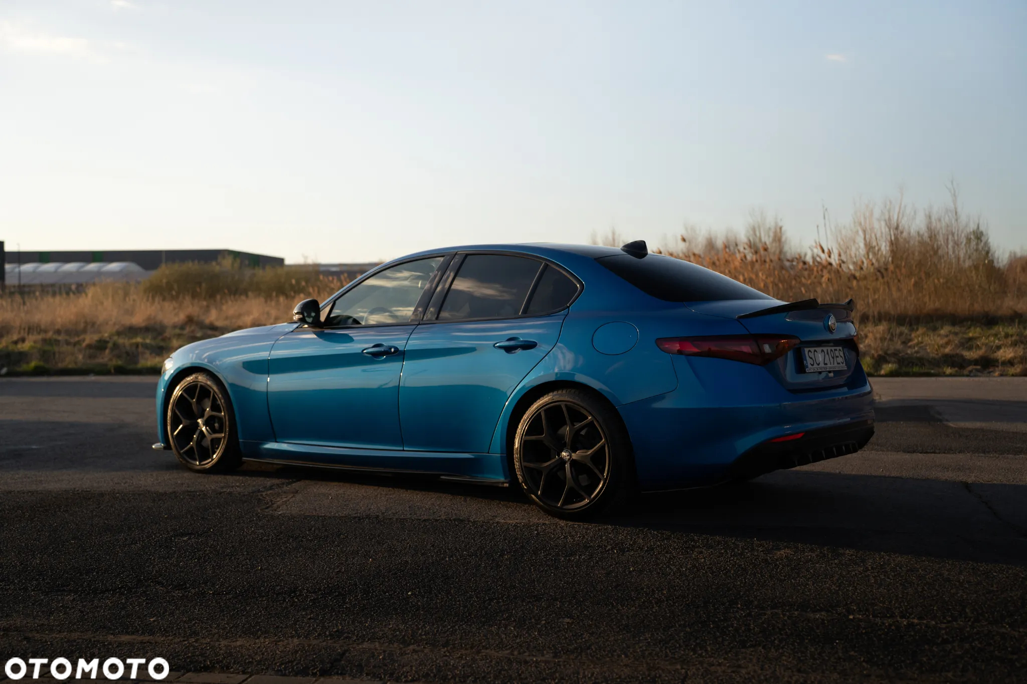 Alfa Romeo Giulia - 6