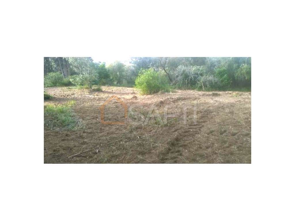 Terreno Misto para Venda - Urqueira, Ourém - Grande imagem: 3/12