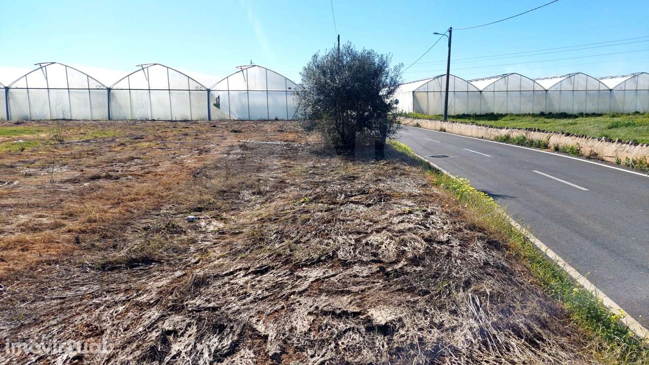 Lote de Terreno Rustico - Grande imagem: 3/6