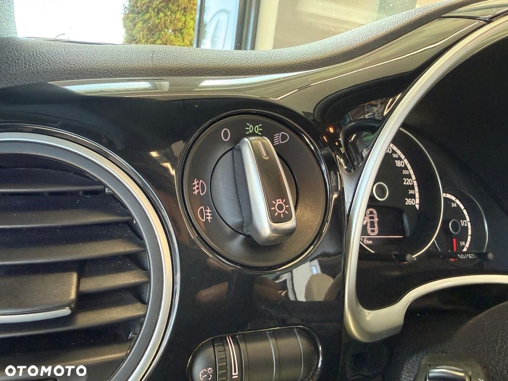 Volkswagen Beetle - 19