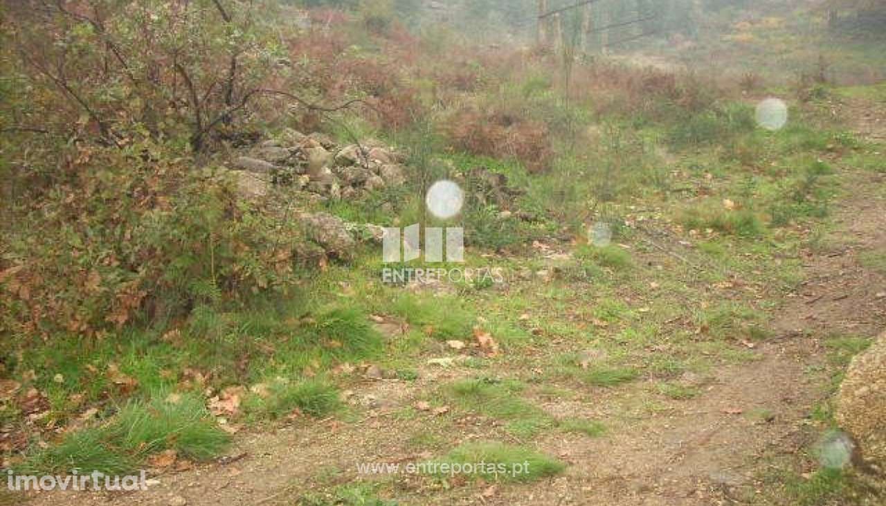 Venda Terreno, Várzea do Douro, Marco de Canaveses - Grande imagem: 5/6