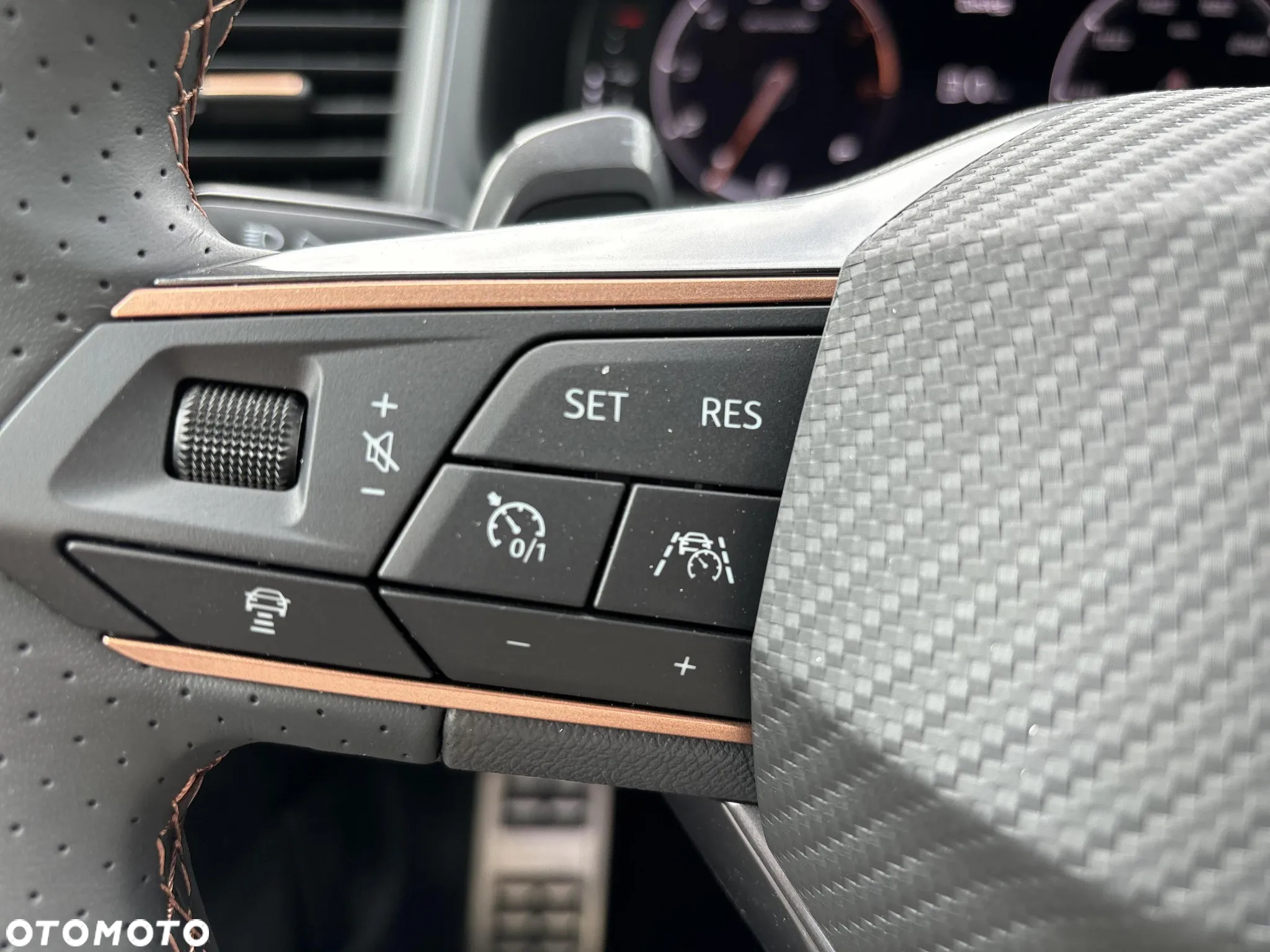 Cupra Ateca 1.5 TSI DSG - 23