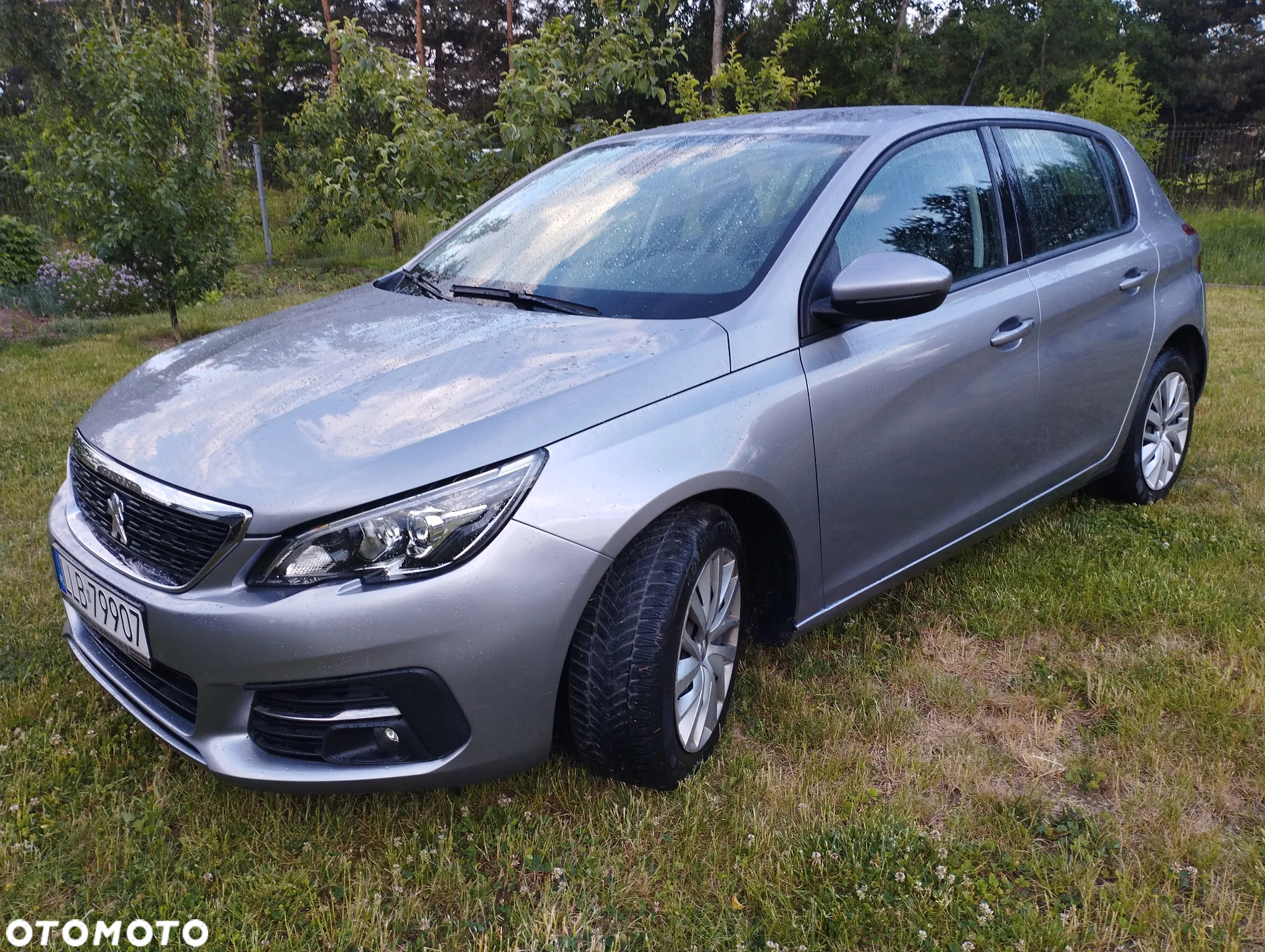 Peugeot 308 1.5 BlueHDi Active Pack S&S - 19