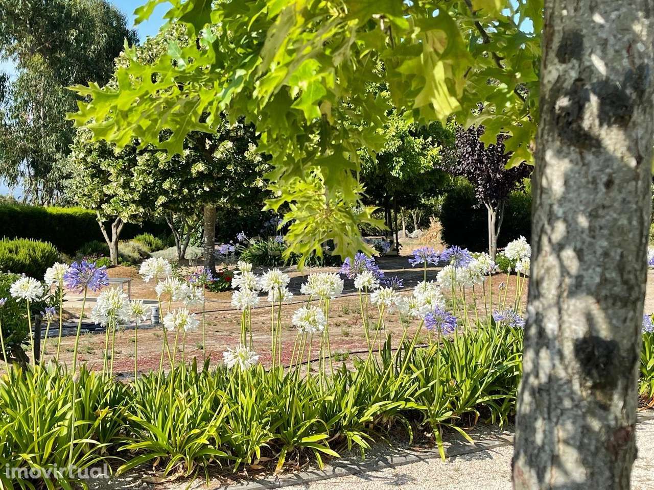 Casa do Alto na Azambuja,  Possibilidade de Permuta - Grande imagem: 5/30