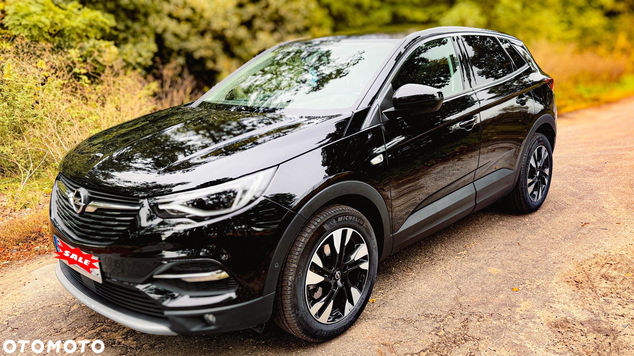 Opel Grandland X 1.2 Start/Stop Automatik Business Edition - 1
