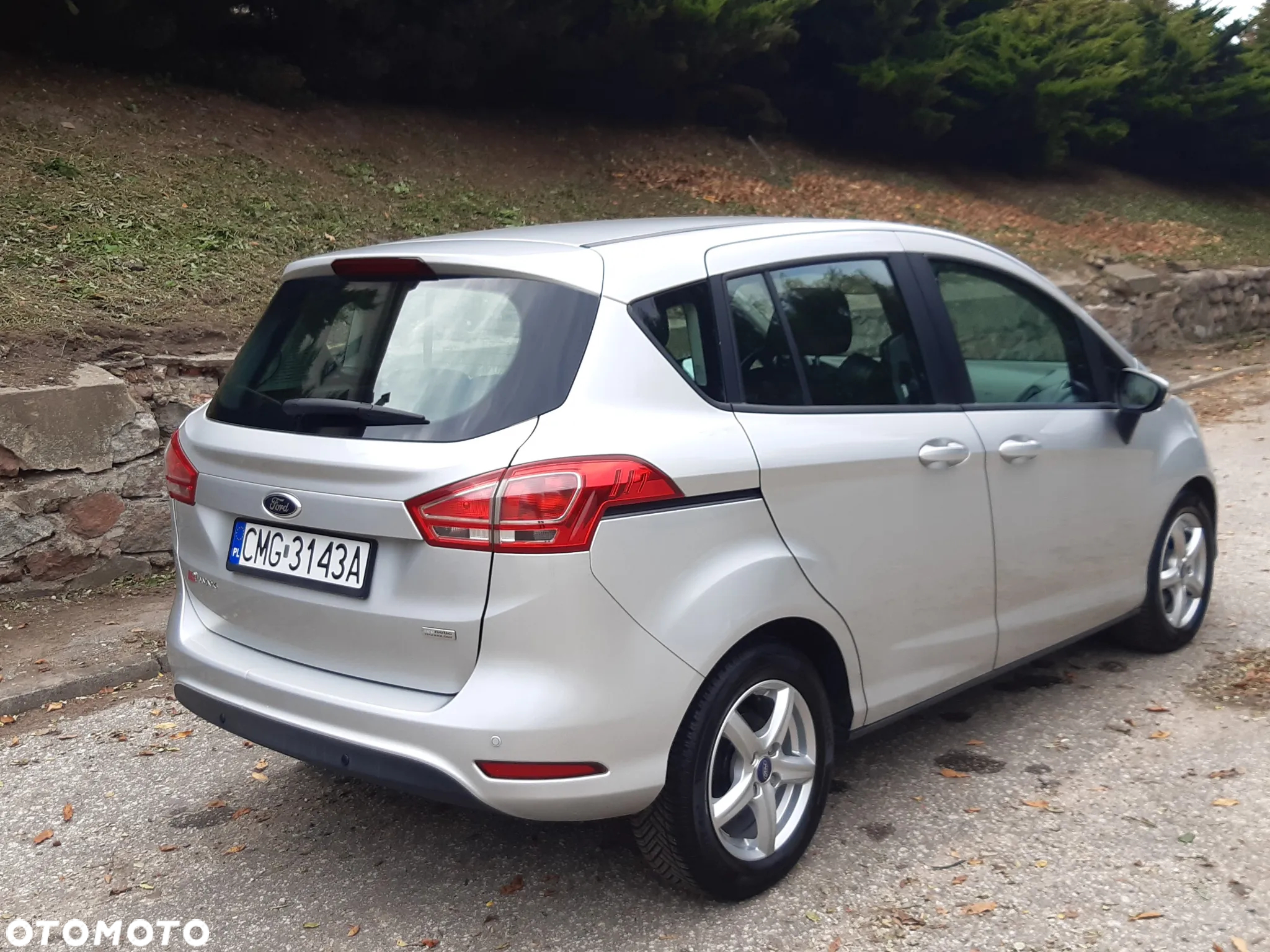 Ford B-MAX 1.0 EcoBoost Individual - 3