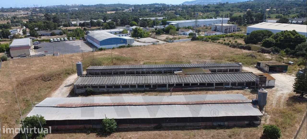 Exploração Agropecuária Licenciada com 1,88 ha – Palmela (Vale de Cant - Grande imagem: 5/22