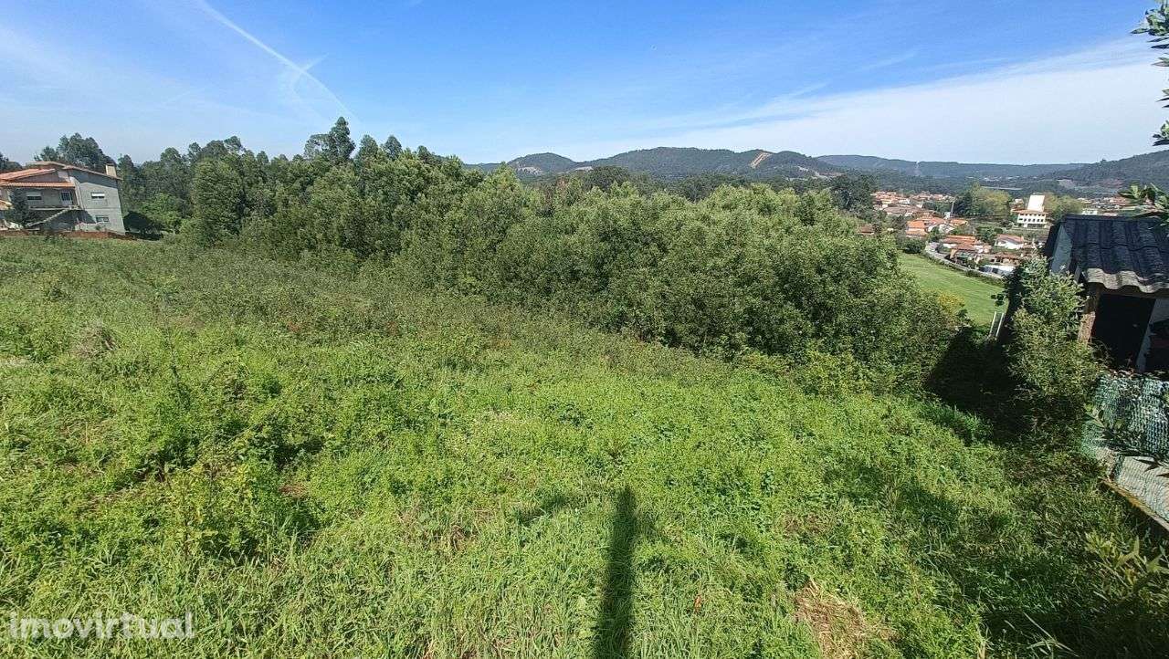 PRÉDIO MISTO ( Urbano e Rústico ) - Oliveira de Azeméis - Grande imagem: 5/8