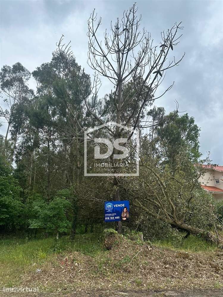 Terreno Rústico  Venda em São Mamede,Batalha - Grande imagem: 4/6