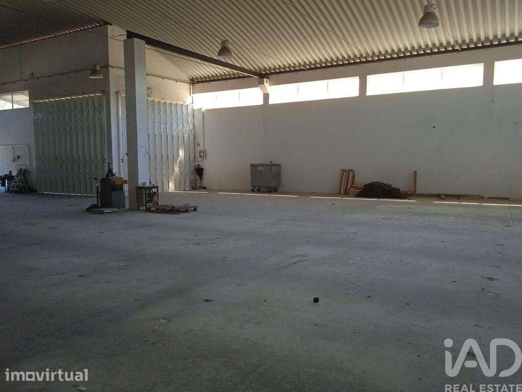 Hangar em Constantim e Vale de Nogueiras de 580,00 m2 - Grande imagem: 4/30
