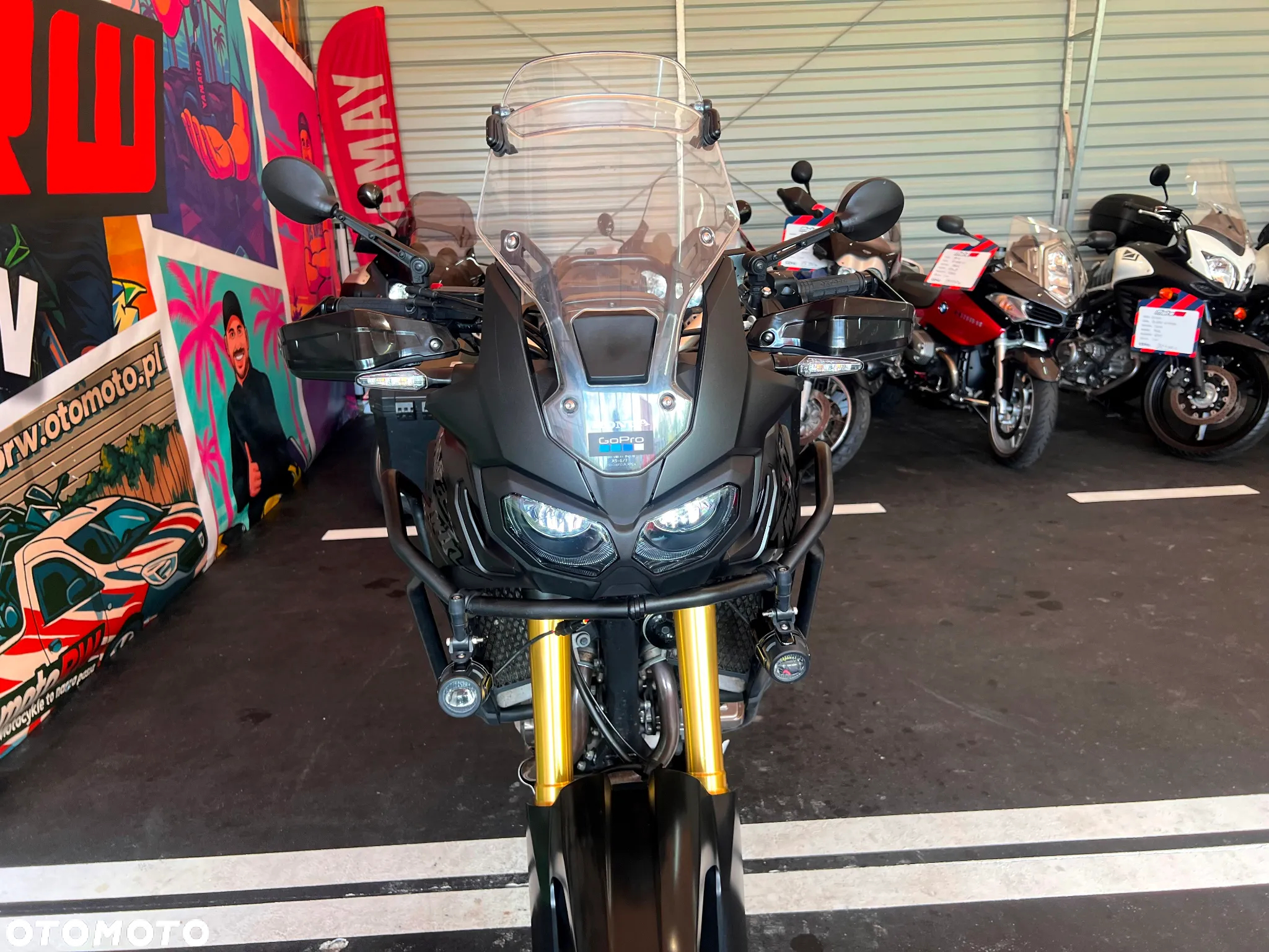 Honda CRF - 34