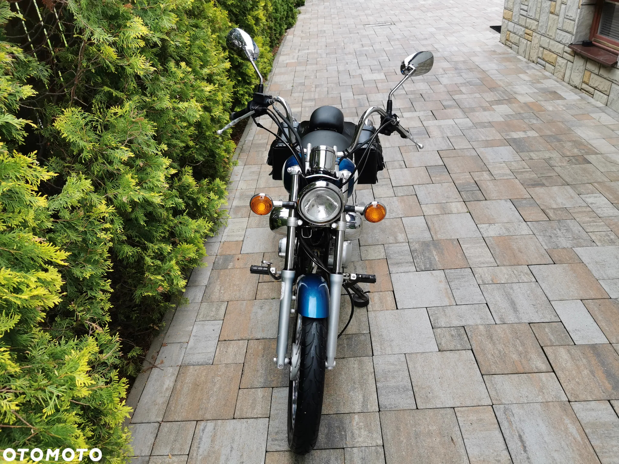 Yamaha Virago - 7