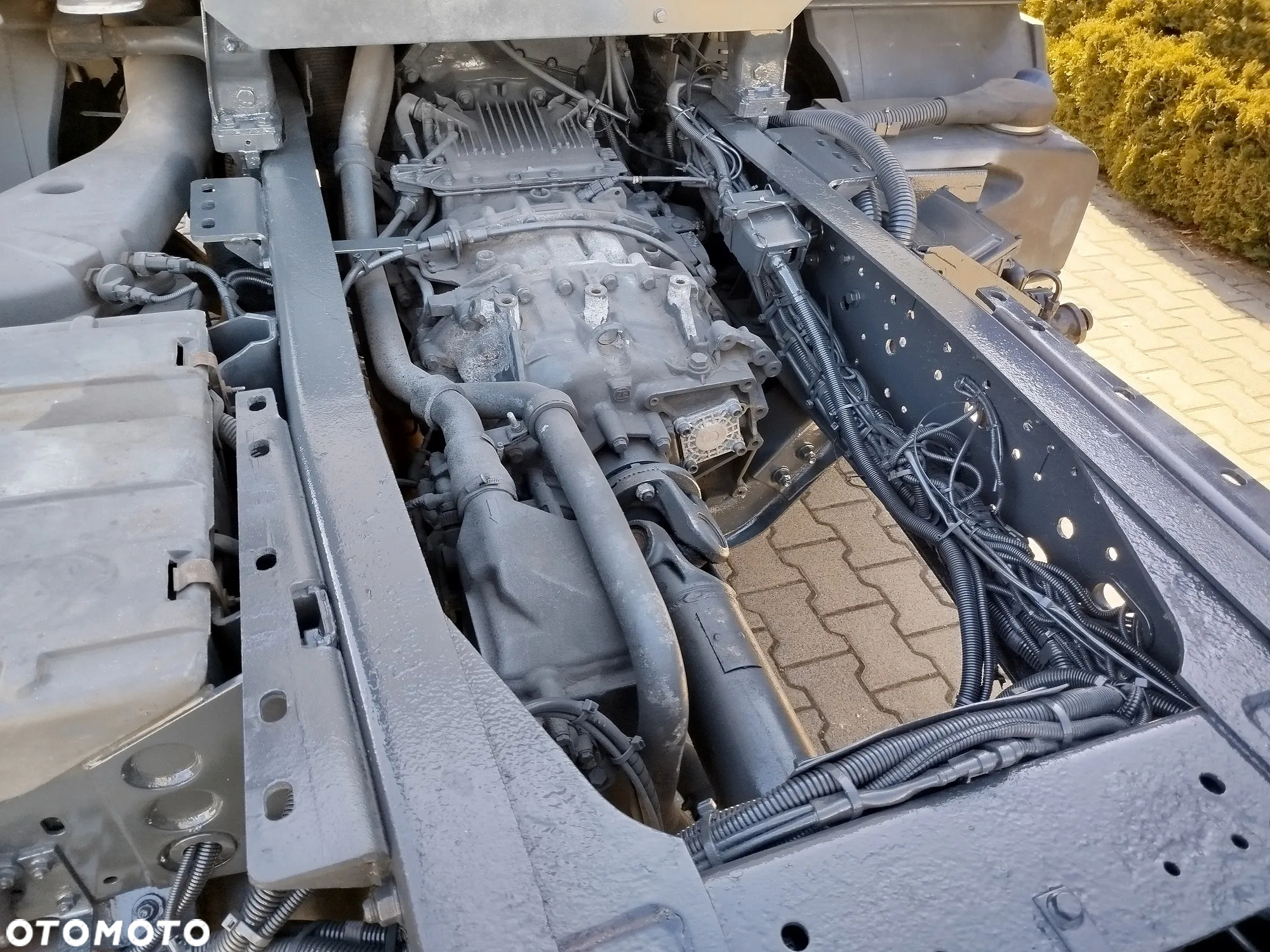 Iveco STRALIS Podwozie pod zabudowę (np. autotransporter) - 12