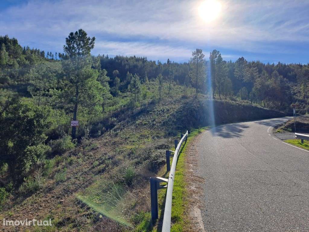 Venda conjunta de vários terrenos rústicos próximos a Cardigos - Ma... - Grande imagem: 4/21