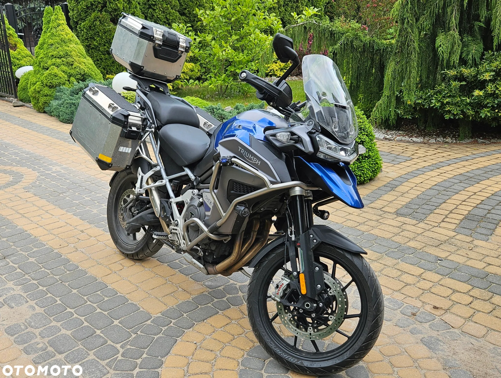 Triumph Tiger