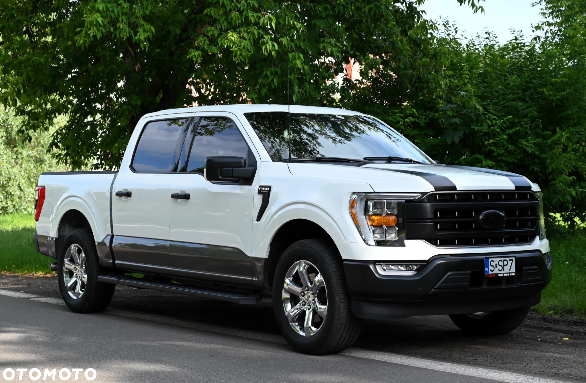 Ford F150 - 5