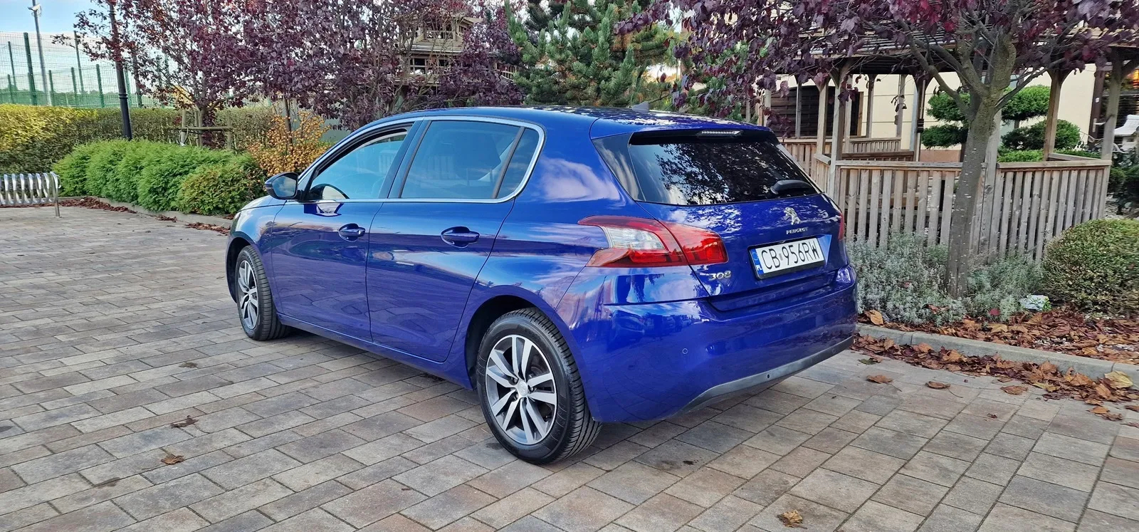 Peugeot 308 1.5 BlueHDi Active Pack Business S&S - 3