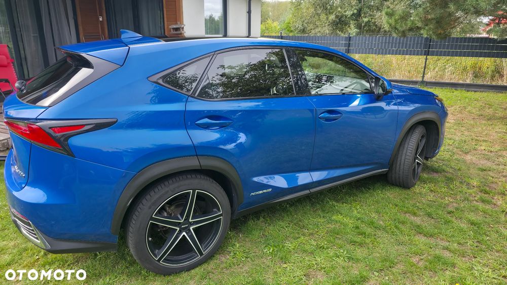 Lexus NX 300h Omotenashi AWD - 5