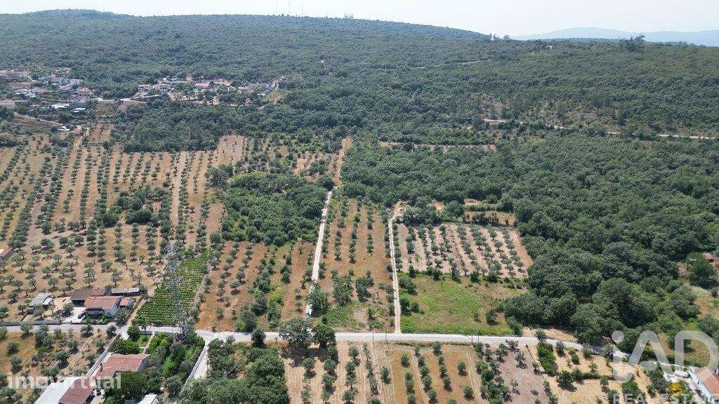 Terreno para construção em Chão de Couce - Grande imagem: 2/21