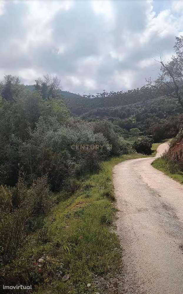 Terreno Rústico com Ruína em Aljezur – 26,88ha de Natureza Pura com Ri - Grande imagem: 3/11