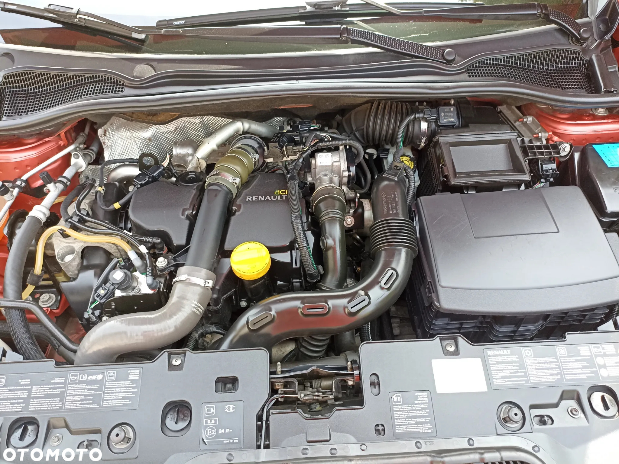 Renault Clio - 5