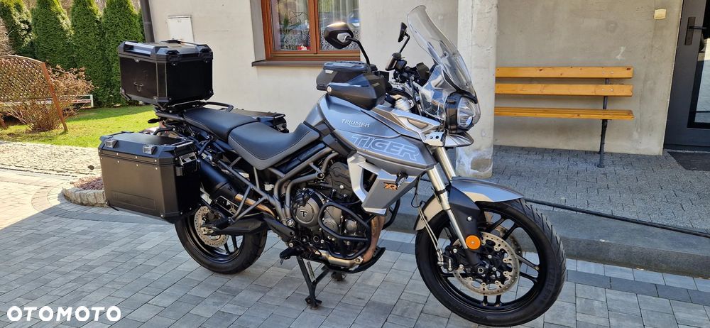 Triumph Tiger - 19