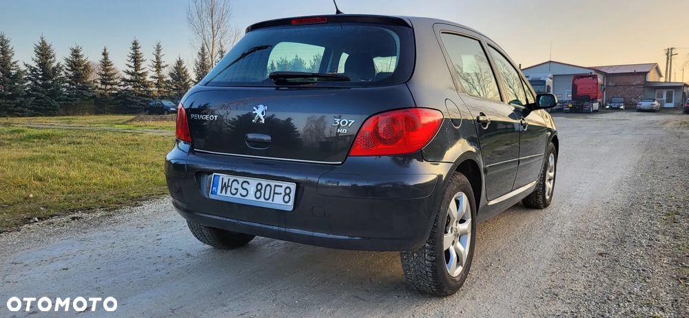 Peugeot 307 1.6 HDi - 8