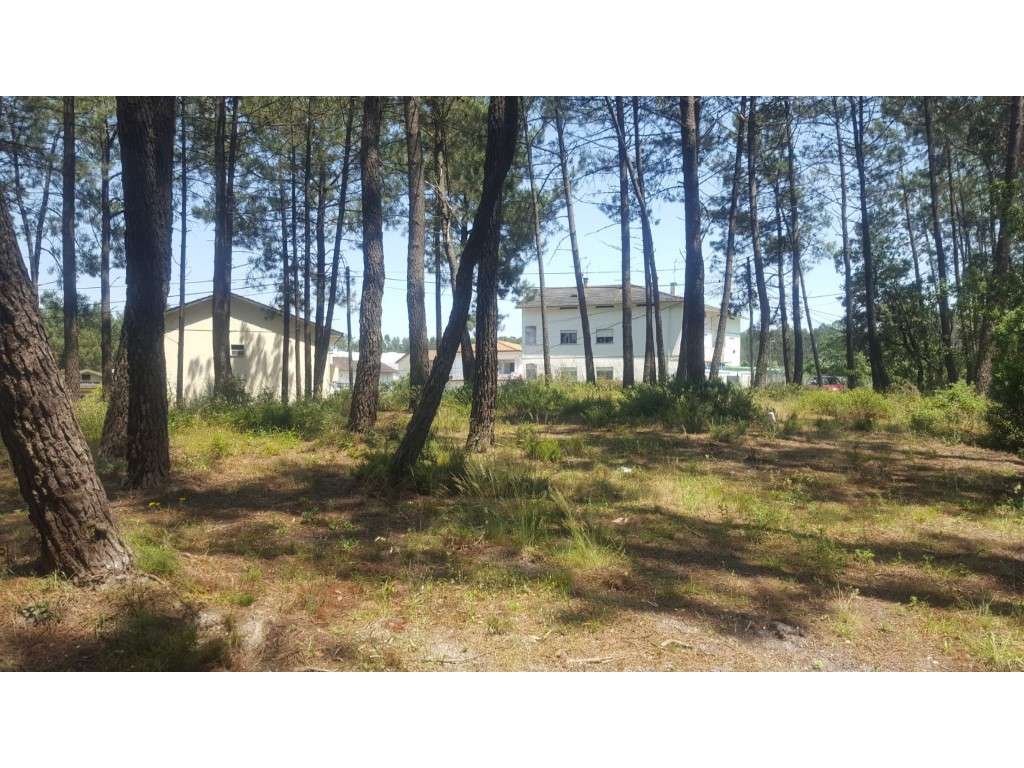 Terreno - Leiria - Grande imagem: 3/4