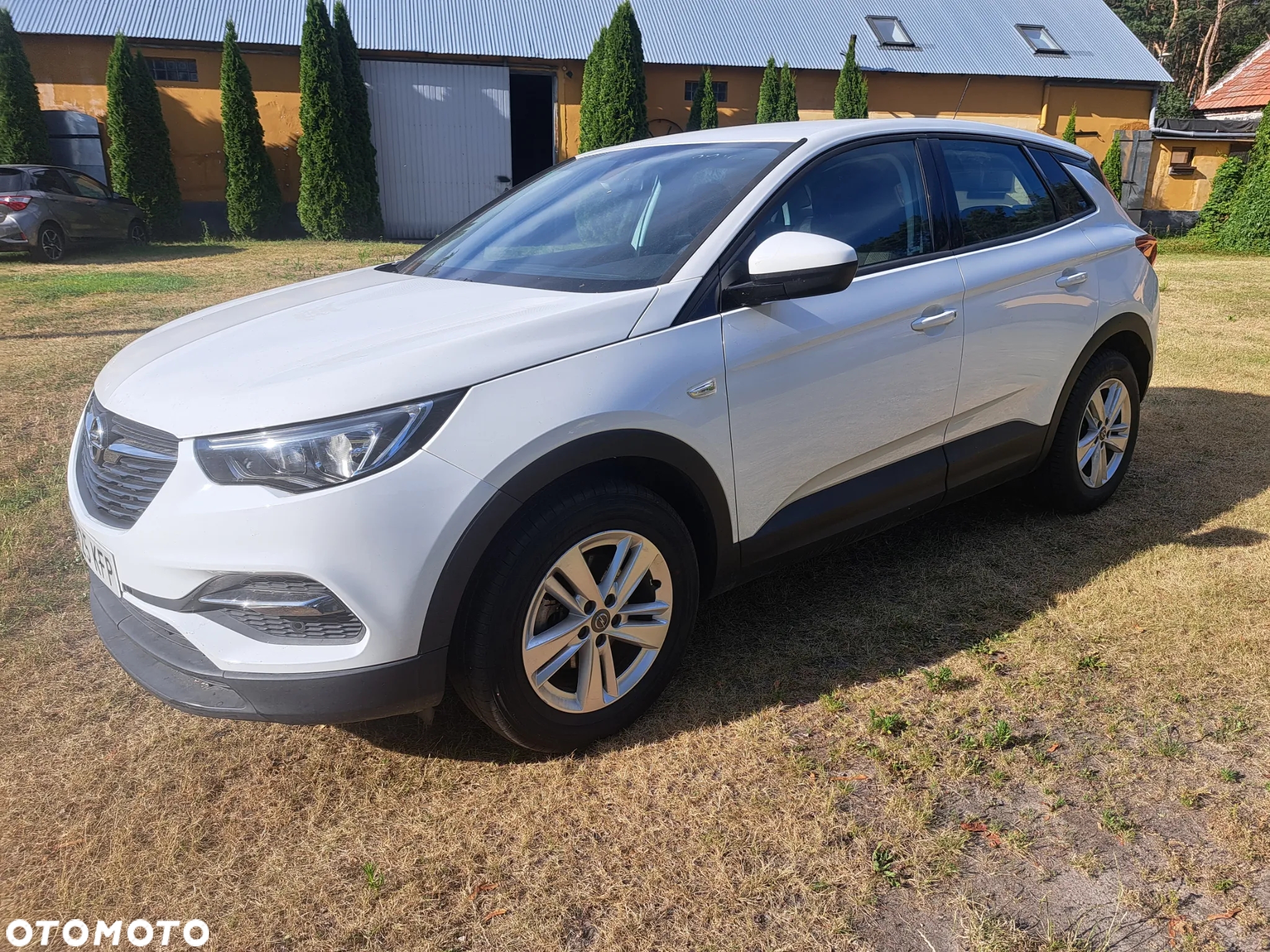 Opel Grandland X 1.6 CDTI Innovation S&S - 9