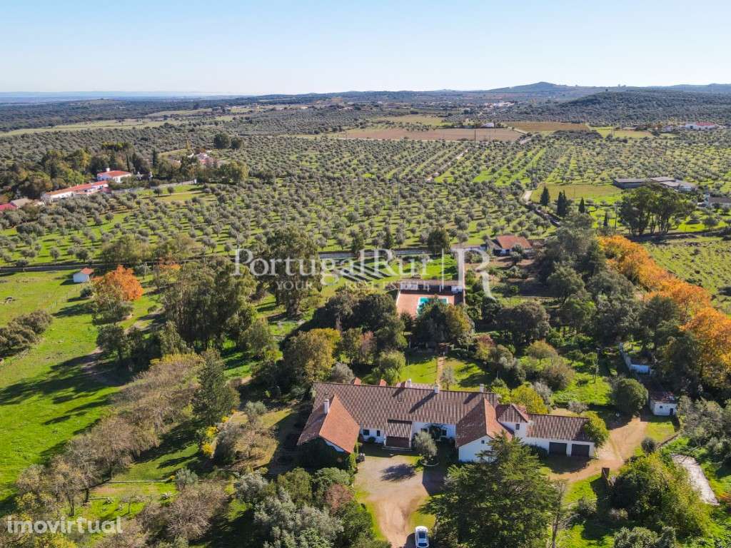 Quinta Senhorial - Vocação Turistica - T11 | a 5 minutos Estremoz e A6 - Grande imagem: 4/60