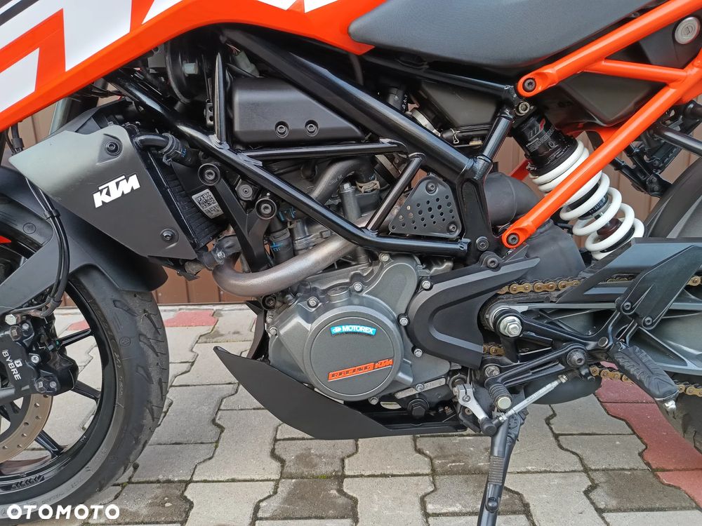 KTM Duke - 29