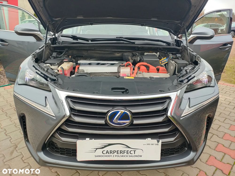 Lexus NX 300h Comfort AWD - 27