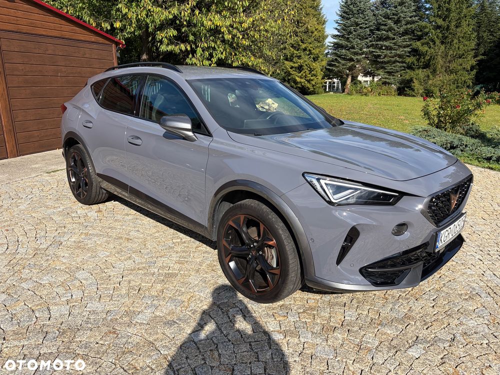 Cupra Formentor 2.0 TSI 4Drive DSG - 36