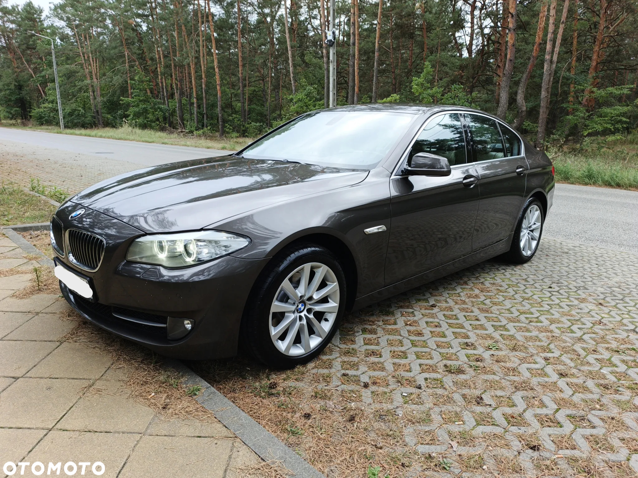 BMW Seria 5 - 12