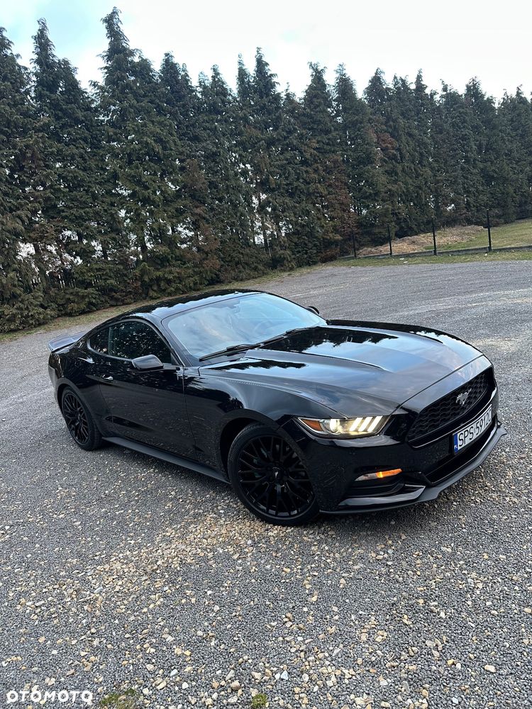 Ford Mustang - 5