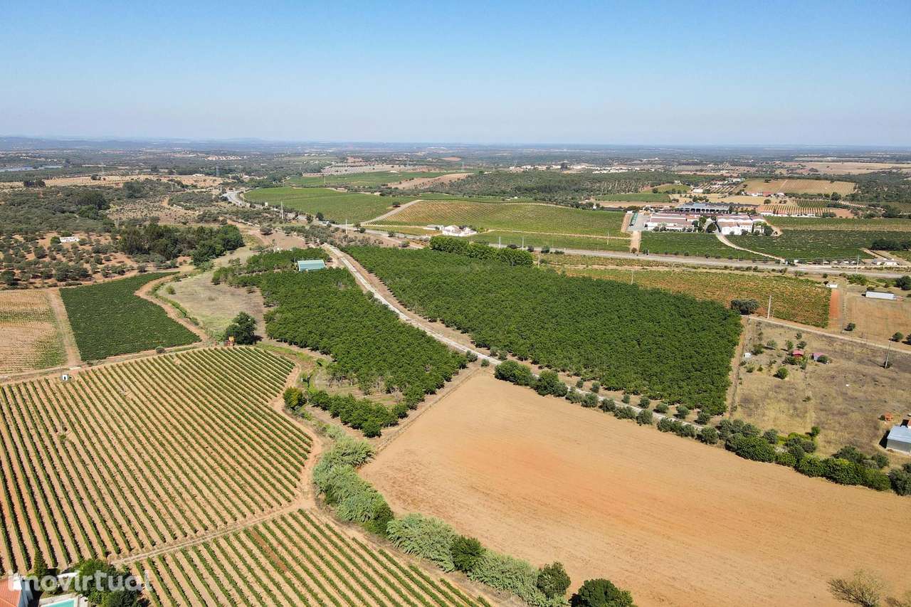 PIP Aprovado - Hotel Rural 4 estrelas - Grande imagem: 5/16