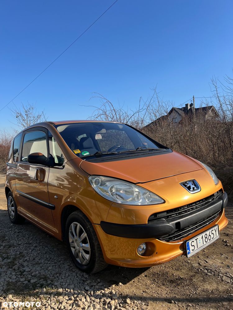 Peugeot 1007 75 Filou - 1