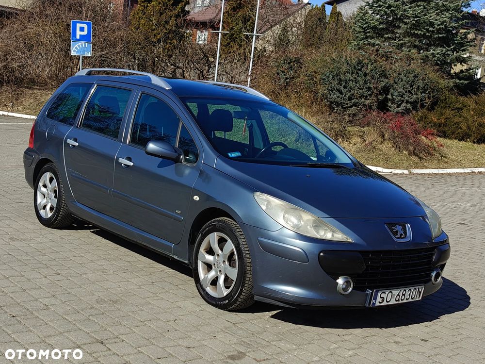 Peugeot 307 HDi 135 Platinum - 10